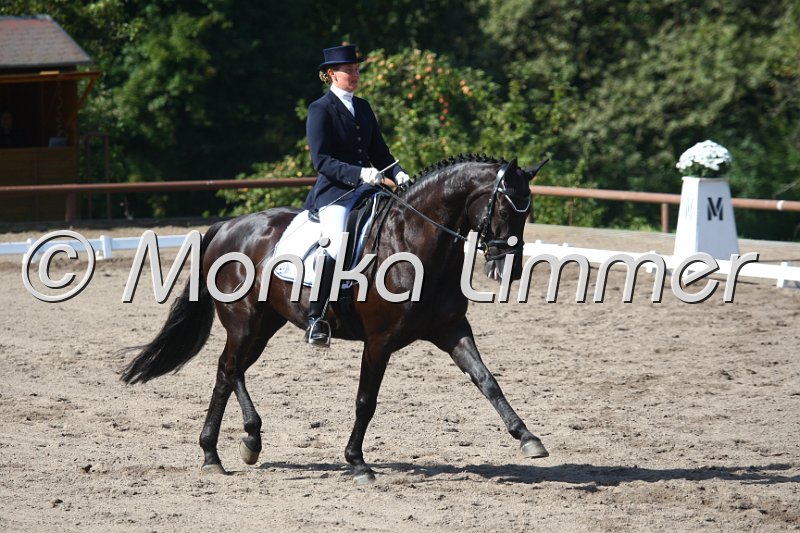 009M4678_Sympahticus KR_Dressur S Nachwuchs.JPG